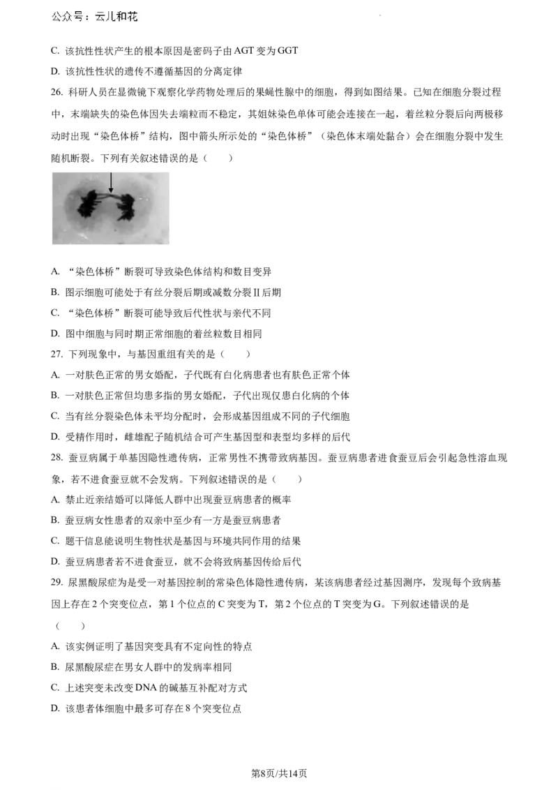 安徽省芜湖市2023-2024学年高一下学期7月期末生物试题_2024-2025高一（7-7月题库）_2024年7月试卷_0710安徽省芜湖市2023-2024学年高一下学期期末考试