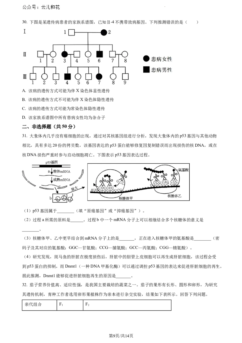安徽省芜湖市2023-2024学年高一下学期7月期末生物试题_2024-2025高一（7-7月题库）_2024年7月试卷_0710安徽省芜湖市2023-2024学年高一下学期期末考试