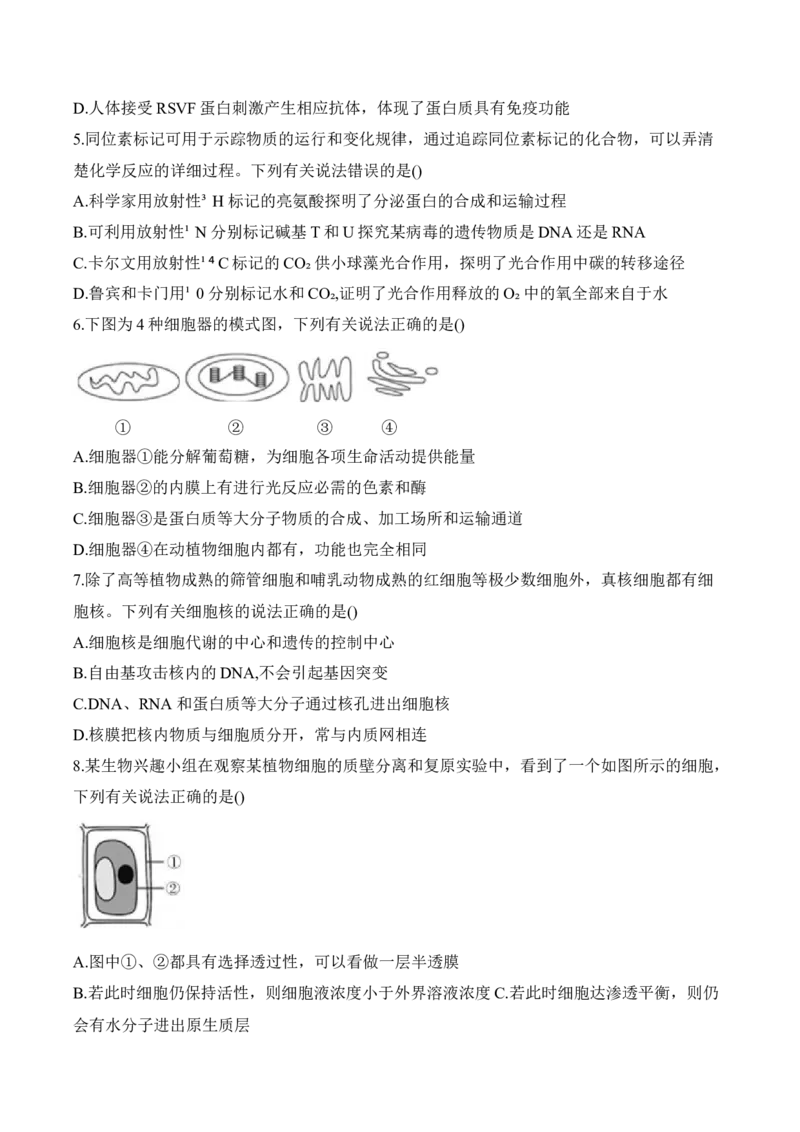安徽省A10联盟2024-2025学年高一下学期2月开年考试生物Word版含答案_2024-2025高一（7-7月题库）_2025年03月试卷_0314安徽省A10联盟2024-2025学年高一下学期2月开年考试