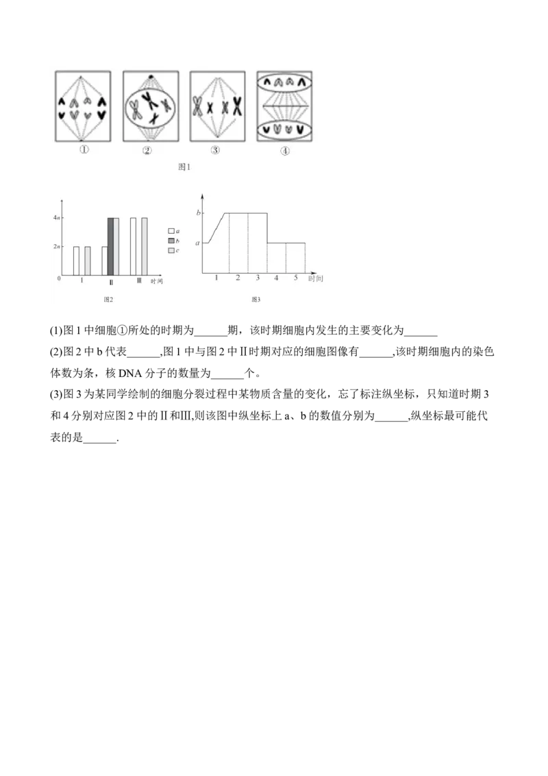 安徽省A10联盟2024-2025学年高一下学期2月开年考试生物Word版含答案_2024-2025高一（7-7月题库）_2025年03月试卷_0314安徽省A10联盟2024-2025学年高一下学期2月开年考试