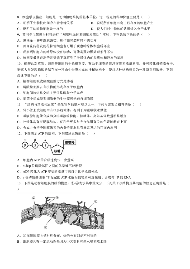 浙江省杭州地区（含周边）重点中学2024-2025学年高一上学期期中联考生物试题（含答案）_2024-2025高一（7-7月题库）_2024年11月试卷