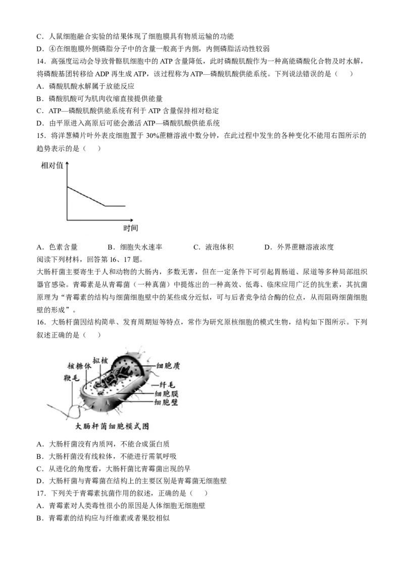 浙江省杭州地区（含周边）重点中学2024-2025学年高一上学期期中联考生物试题（含答案）_2024-2025高一（7-7月题库）_2024年11月试卷