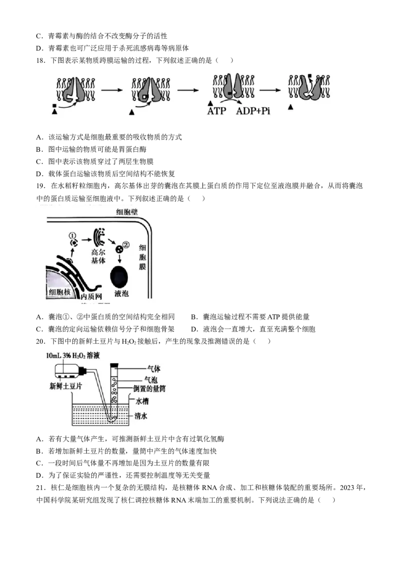 浙江省杭州地区（含周边）重点中学2024-2025学年高一上学期期中联考生物试题（含答案）_2024-2025高一（7-7月题库）_2024年11月试卷