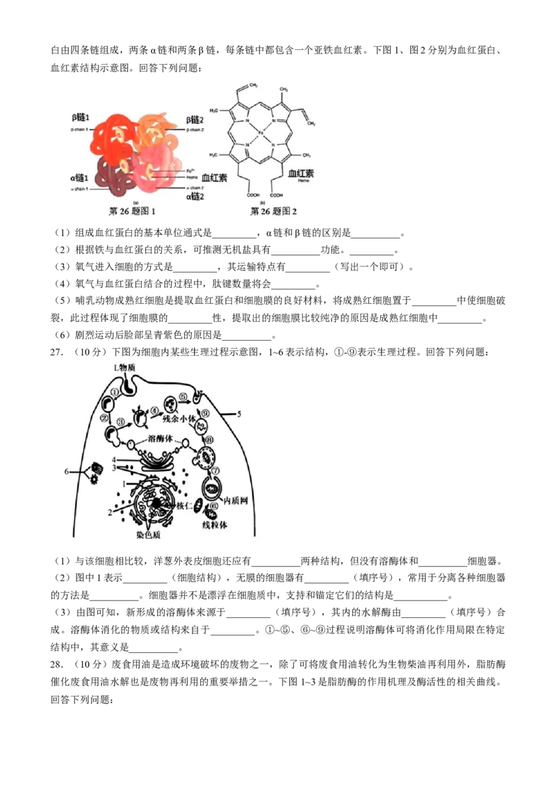 浙江省杭州地区（含周边）重点中学2024-2025学年高一上学期期中联考生物试题（含答案）_2024-2025高一（7-7月题库）_2024年11月试卷
