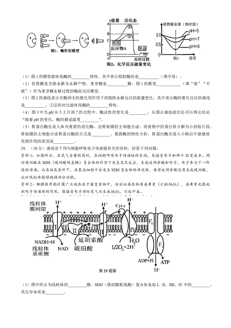 浙江省杭州地区（含周边）重点中学2024-2025学年高一上学期期中联考生物试题（含答案）_2024-2025高一（7-7月题库）_2024年11月试卷