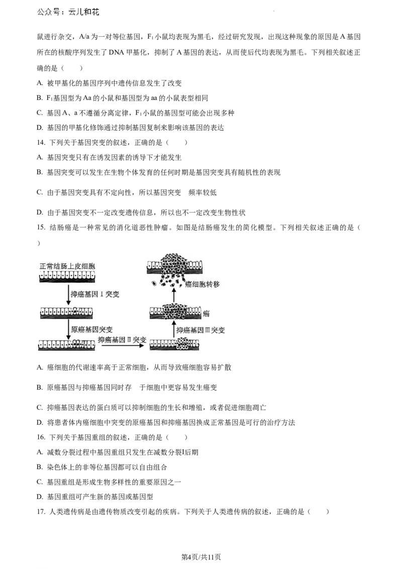 陕西省铜川市印台区铜川市第一中学2023-2024学年高一下学期7月期末生物试题_2024-2025高一（7-7月题库）_2024年8月试卷_0804陕西省铜川市第一中学2023-2024学年高一下学期期末考试