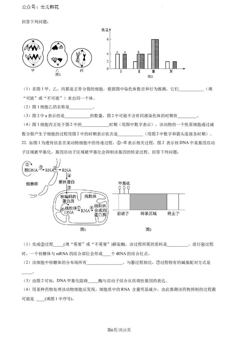 陕西省铜川市印台区铜川市第一中学2023-2024学年高一下学期7月期末生物试题_2024-2025高一（7-7月题库）_2024年8月试卷_0804陕西省铜川市第一中学2023-2024学年高一下学期期末考试