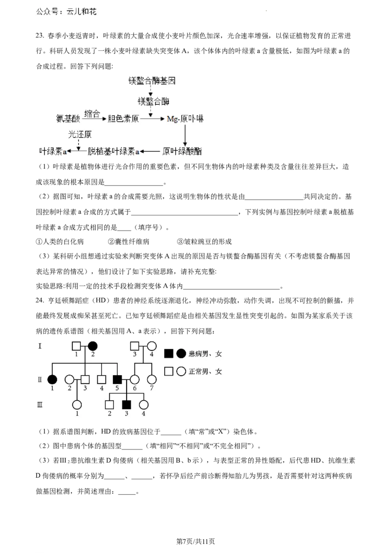 陕西省铜川市印台区铜川市第一中学2023-2024学年高一下学期7月期末生物试题_2024-2025高一（7-7月题库）_2024年8月试卷_0804陕西省铜川市第一中学2023-2024学年高一下学期期末考试