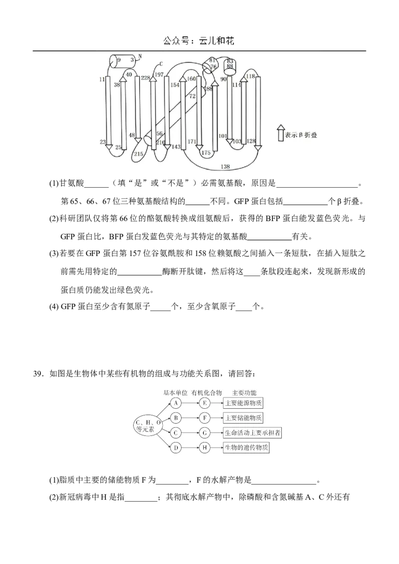 内蒙古赤峰二中2024-2025学年高一上学期第一次月考试题生物Word版含答案_2024-2025高一（7-7月题库）_2024年11月试卷_1101内蒙古赤峰二中2024-2025学年高一上学期第一次月考