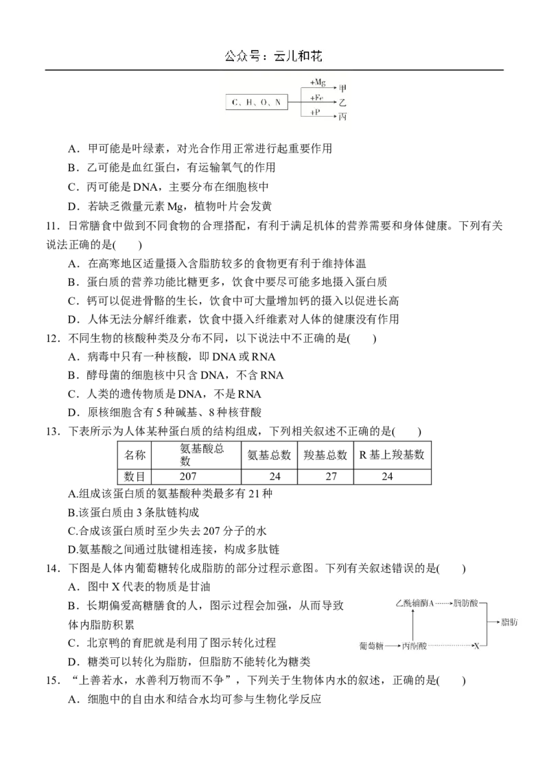 内蒙古赤峰二中2024-2025学年高一上学期第一次月考试题生物Word版含答案_2024-2025高一（7-7月题库）_2024年11月试卷_1101内蒙古赤峰二中2024-2025学年高一上学期第一次月考