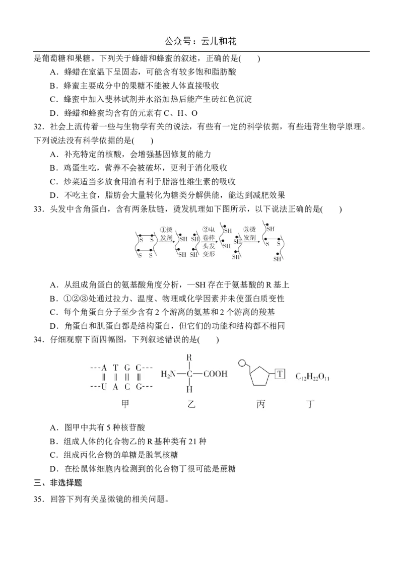 内蒙古赤峰二中2024-2025学年高一上学期第一次月考试题生物Word版含答案_2024-2025高一（7-7月题库）_2024年11月试卷_1101内蒙古赤峰二中2024-2025学年高一上学期第一次月考
