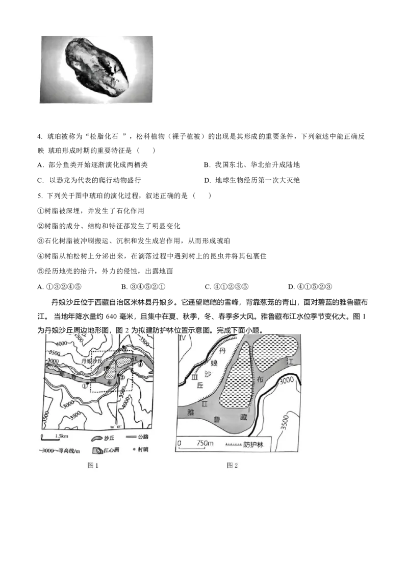 湖南省怀化市2024-2025学年高一上学期期末考试地理试题（含答案）_2024-2025高一（7-7月题库）_2025年03月试卷_0305湖南省怀化市2024-2025学年高一上学期期末