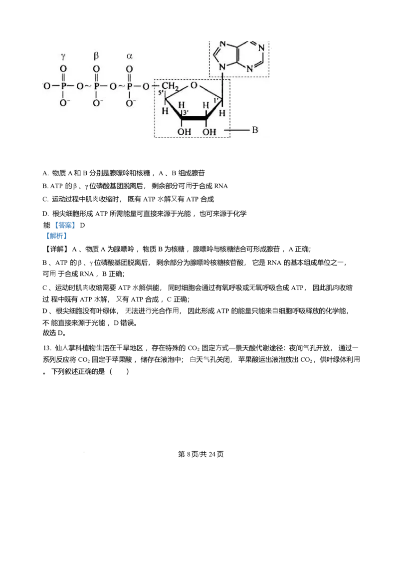辽宁省辽南协作体2025-2026学年高一上学期期末生物试卷含答案_2024-2025高一（7-7月题库）_2026年1月高一_260122辽宁省辽南协作体2025-2026学年高一上学期期末
