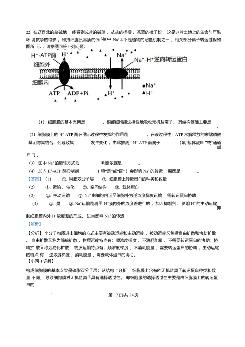 辽宁省辽南协作体2025-2026学年高一上学期期末生物试卷含答案_2024-2025高一（7-7月题库）_2026年1月高一_260122辽宁省辽南协作体2025-2026学年高一上学期期末