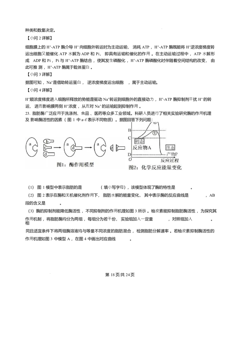 辽宁省辽南协作体2025-2026学年高一上学期期末生物试卷含答案_2024-2025高一（7-7月题库）_2026年1月高一_260122辽宁省辽南协作体2025-2026学年高一上学期期末