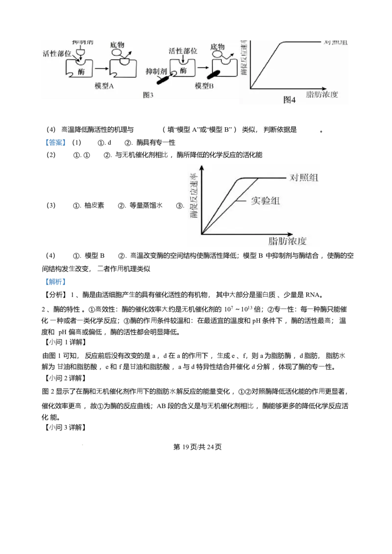 辽宁省辽南协作体2025-2026学年高一上学期期末生物试卷含答案_2024-2025高一（7-7月题库）_2026年1月高一_260122辽宁省辽南协作体2025-2026学年高一上学期期末