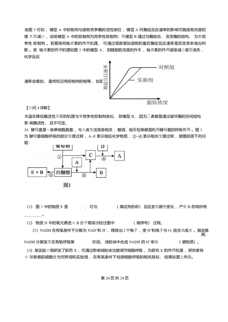 辽宁省辽南协作体2025-2026学年高一上学期期末生物试卷含答案_2024-2025高一（7-7月题库）_2026年1月高一_260122辽宁省辽南协作体2025-2026学年高一上学期期末