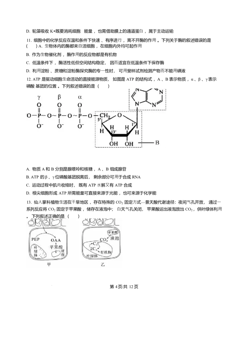 辽宁省辽南协作体2025-2026学年高一上学期期末生物试卷含答案_2024-2025高一（7-7月题库）_2026年1月高一_260122辽宁省辽南协作体2025-2026学年高一上学期期末