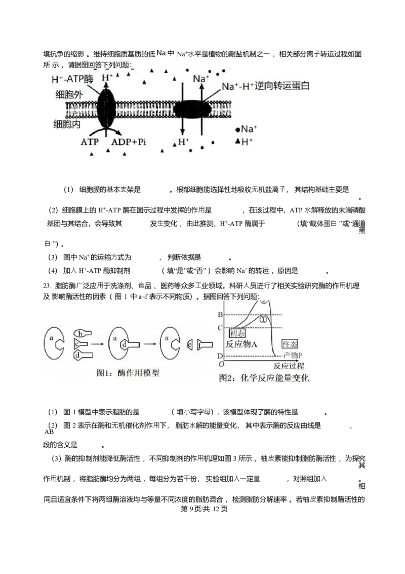 辽宁省辽南协作体2025-2026学年高一上学期期末生物试卷含答案_2024-2025高一（7-7月题库）_2026年1月高一_260122辽宁省辽南协作体2025-2026学年高一上学期期末