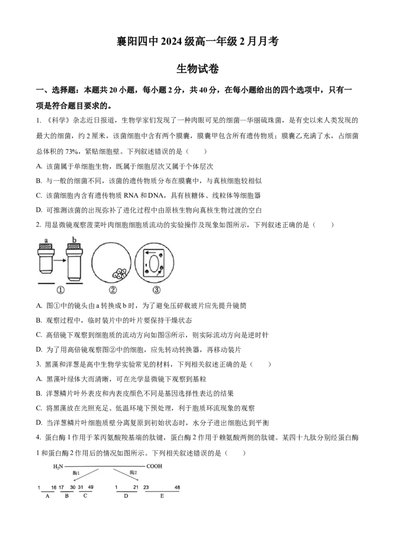 湖北省襄阳市第四中学2024&mdash;2025学年高一下学期2月考试生物学试题（含答案）_2024-2025高一（7-7月题库）_2025年03月试卷_0314湖北省襄阳市第四中学2024-2025学年高一下学期2月月考