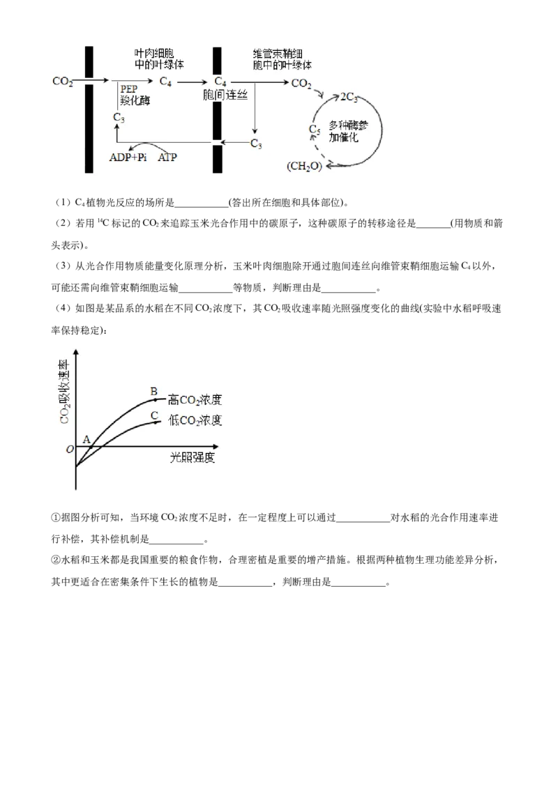 湖北省襄阳市第四中学2024&mdash;2025学年高一下学期2月考试生物学试题（含答案）_2024-2025高一（7-7月题库）_2025年03月试卷_0314湖北省襄阳市第四中学2024-2025学年高一下学期2月月考