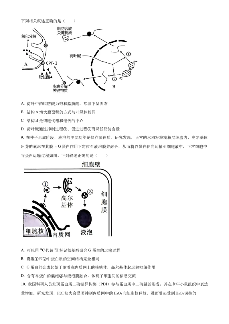湖北省襄阳市第四中学2024&mdash;2025学年高一下学期2月考试生物学试题（含答案）_2024-2025高一（7-7月题库）_2025年03月试卷_0314湖北省襄阳市第四中学2024-2025学年高一下学期2月月考