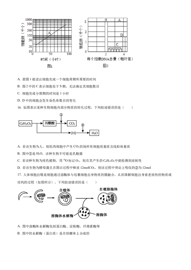 湖北省襄阳市第四中学2024&mdash;2025学年高一下学期2月考试生物学试题（含答案）_2024-2025高一（7-7月题库）_2025年03月试卷_0314湖北省襄阳市第四中学2024-2025学年高一下学期2月月考