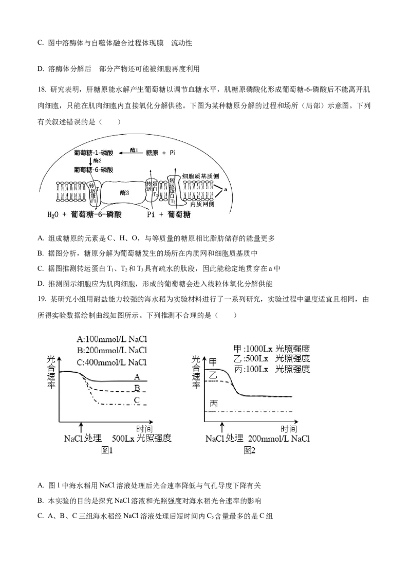 湖北省襄阳市第四中学2024&mdash;2025学年高一下学期2月考试生物学试题（含答案）_2024-2025高一（7-7月题库）_2025年03月试卷_0314湖北省襄阳市第四中学2024-2025学年高一下学期2月月考