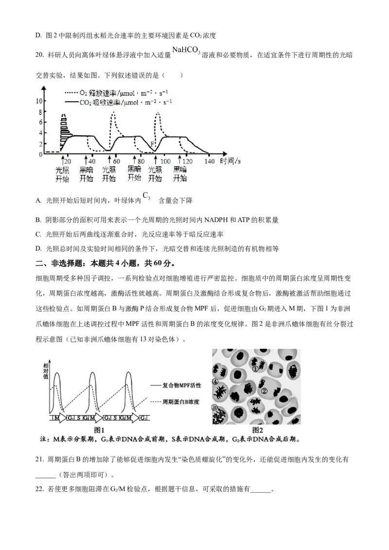 湖北省襄阳市第四中学2024&mdash;2025学年高一下学期2月考试生物学试题（含答案）_2024-2025高一（7-7月题库）_2025年03月试卷_0314湖北省襄阳市第四中学2024-2025学年高一下学期2月月考
