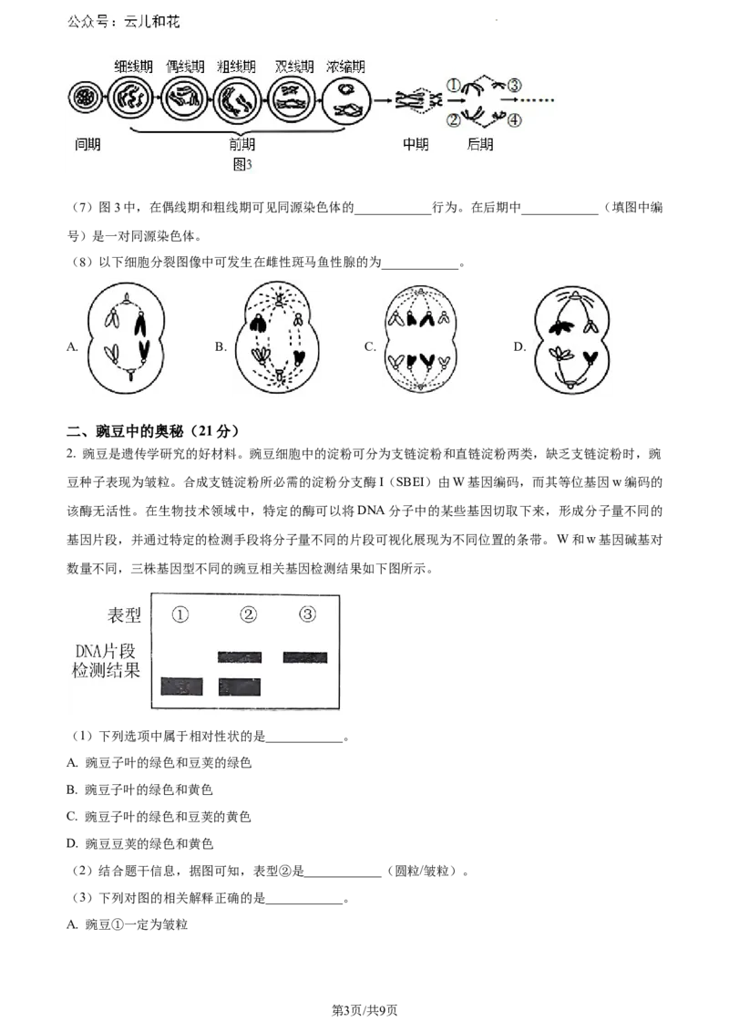 上海市闵行区上海师范大学附属中学闵行分校2023-2024学年高一下学期6月期末生物试题_2024-2025高一（7-7月题库）_2024年8月试卷