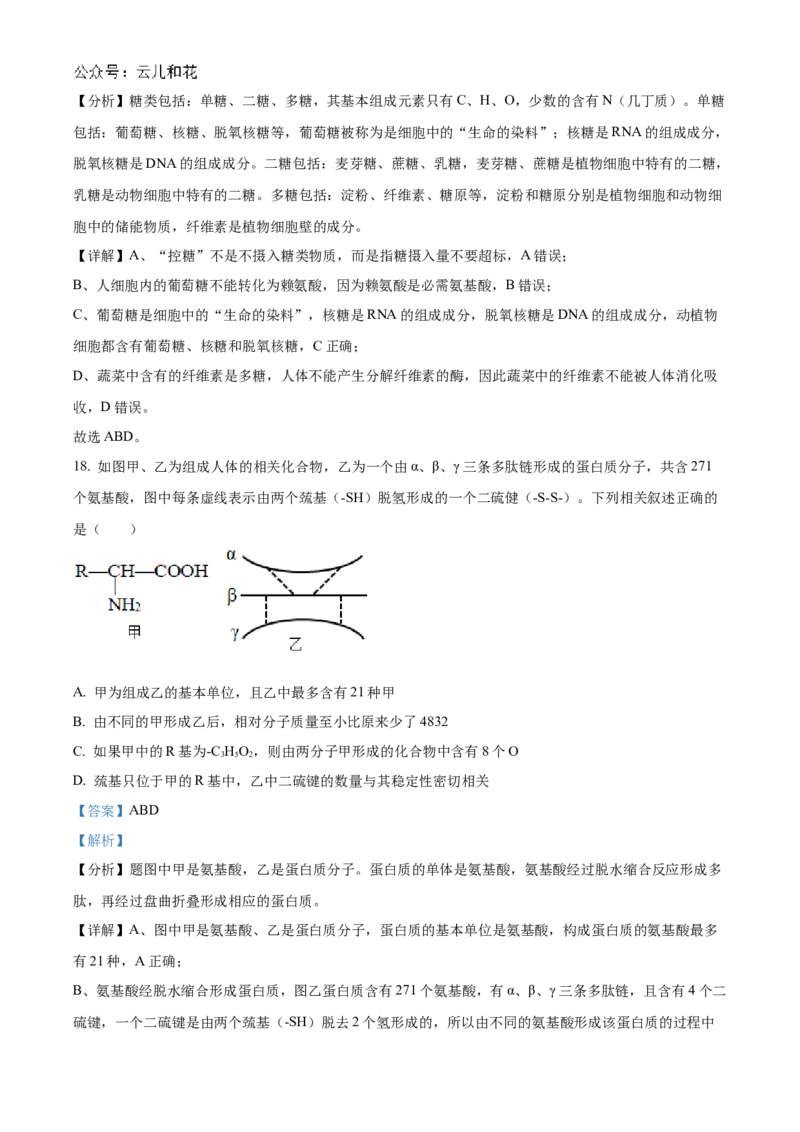 辽宁省辽东南协作体2024-2025学年高一上学期10月月考生物试卷Word版含解析_2024-2025高一（7-7月题库）_2024年10月试卷_1031辽宁省辽东南协作体2024-2025学年高一上学期10月联考