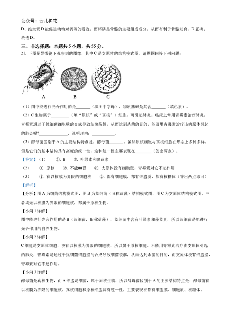 辽宁省辽东南协作体2024-2025学年高一上学期10月月考生物试卷Word版含解析_2024-2025高一（7-7月题库）_2024年10月试卷_1031辽宁省辽东南协作体2024-2025学年高一上学期10月联考