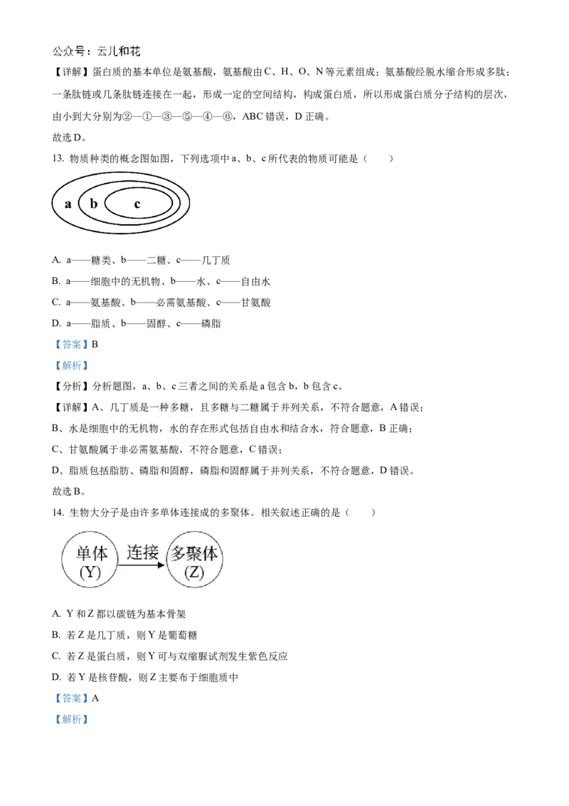 辽宁省辽东南协作体2024-2025学年高一上学期10月月考生物试卷Word版含解析_2024-2025高一（7-7月题库）_2024年10月试卷_1031辽宁省辽东南协作体2024-2025学年高一上学期10月联考