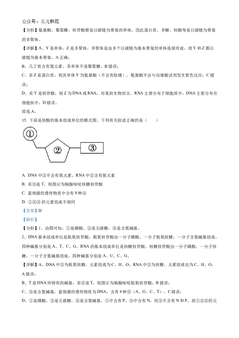 辽宁省辽东南协作体2024-2025学年高一上学期10月月考生物试卷Word版含解析_2024-2025高一（7-7月题库）_2024年10月试卷_1031辽宁省辽东南协作体2024-2025学年高一上学期10月联考