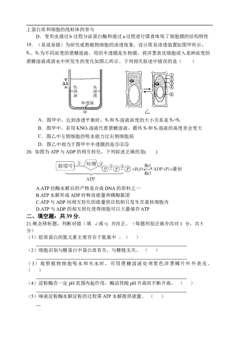 天津市静海区第一中学2025-2026学年高一上学期12月月考生物试题（含答案）_2024-2025高一（7-7月题库）_2026年1月高一_260108天津市静海区第一中学2025-2026学年高一上学期12月月考（全）