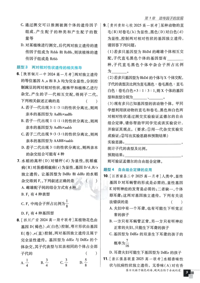 衔接点02根式、分式的化简（解析版）_2024-2025高一（7-7月题库）_2024年7月试卷_0708暑假自学课2024年初升高数学无忧衔接（通用版）