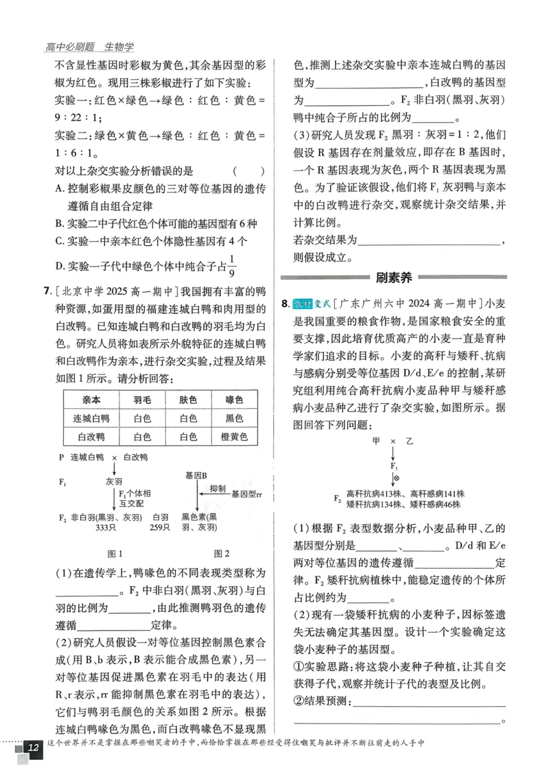 衔接点02根式、分式的化简（解析版）_2024-2025高一（7-7月题库）_2024年7月试卷_0708暑假自学课2024年初升高数学无忧衔接（通用版）
