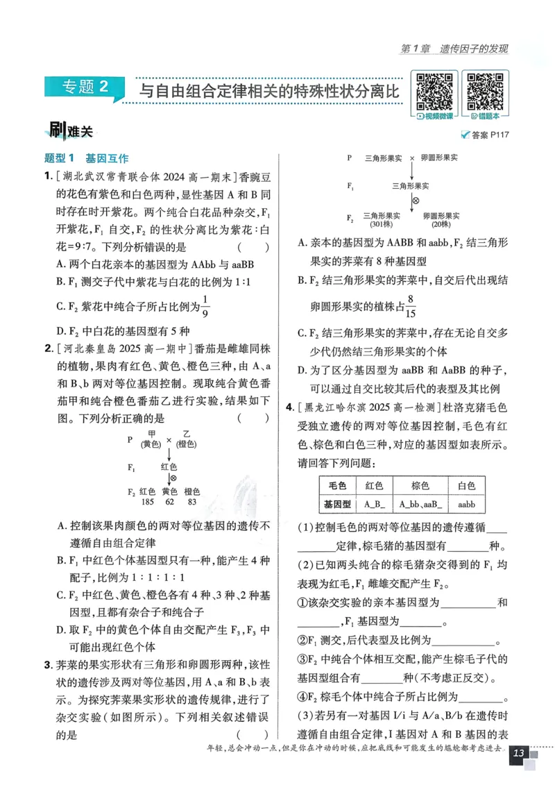 衔接点02根式、分式的化简（解析版）_2024-2025高一（7-7月题库）_2024年7月试卷_0708暑假自学课2024年初升高数学无忧衔接（通用版）
