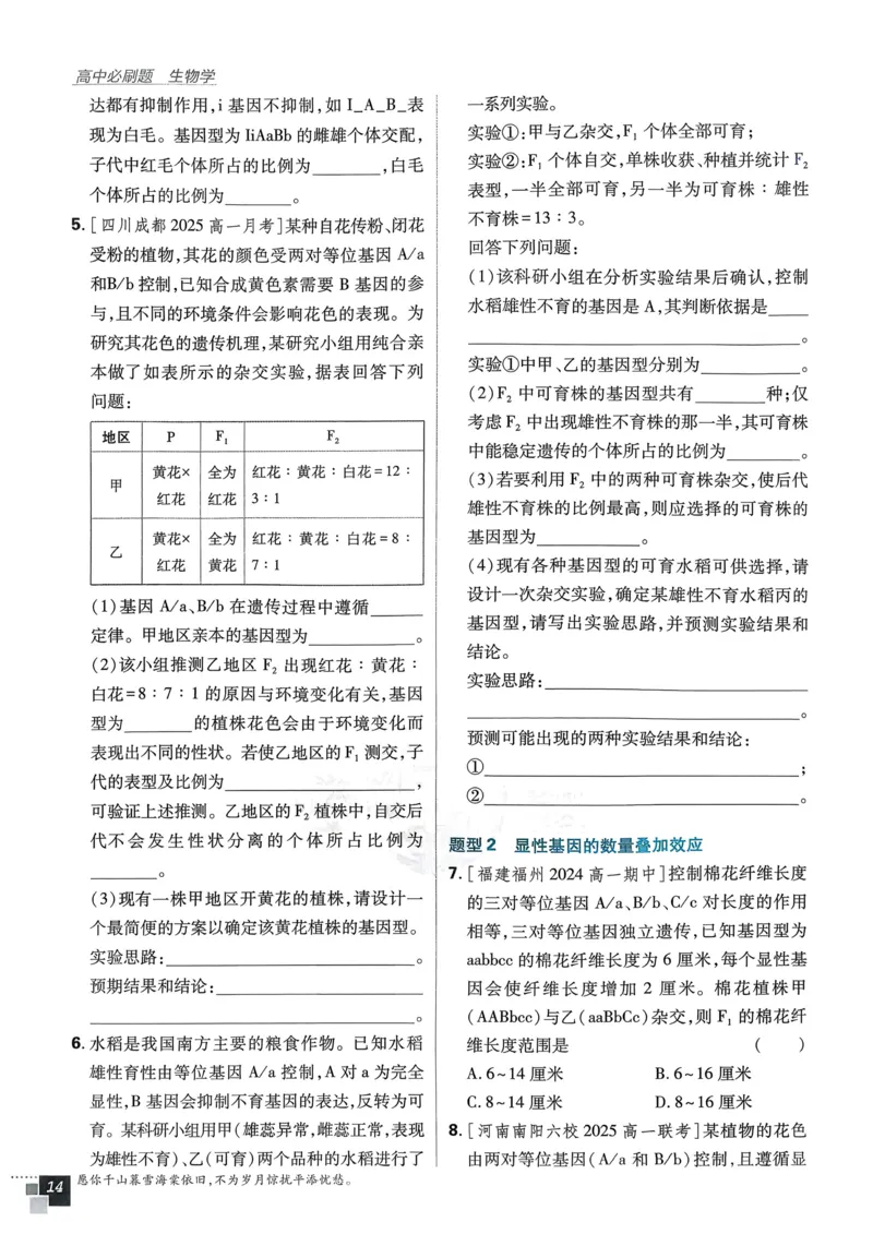 衔接点02根式、分式的化简（解析版）_2024-2025高一（7-7月题库）_2024年7月试卷_0708暑假自学课2024年初升高数学无忧衔接（通用版）
