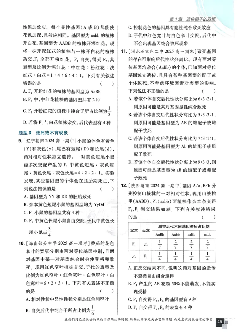衔接点02根式、分式的化简（解析版）_2024-2025高一（7-7月题库）_2024年7月试卷_0708暑假自学课2024年初升高数学无忧衔接（通用版）