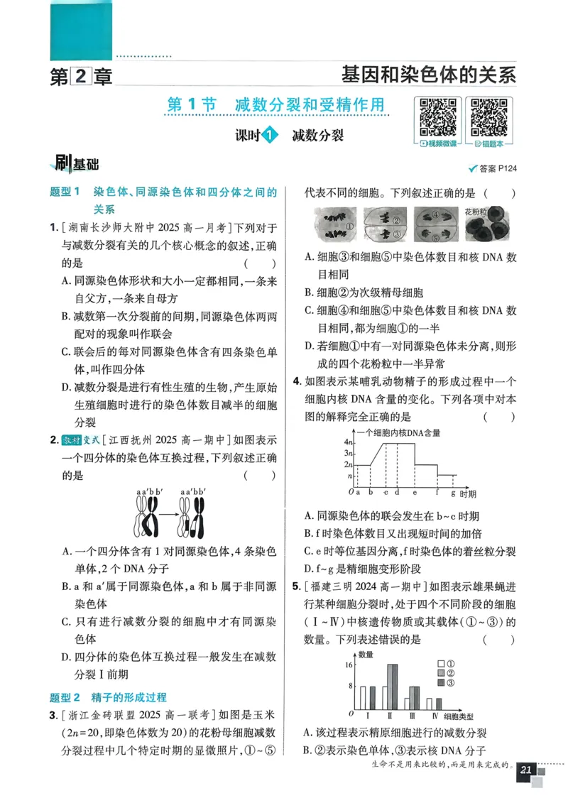 衔接点02根式、分式的化简（解析版）_2024-2025高一（7-7月题库）_2024年7月试卷_0708暑假自学课2024年初升高数学无忧衔接（通用版）