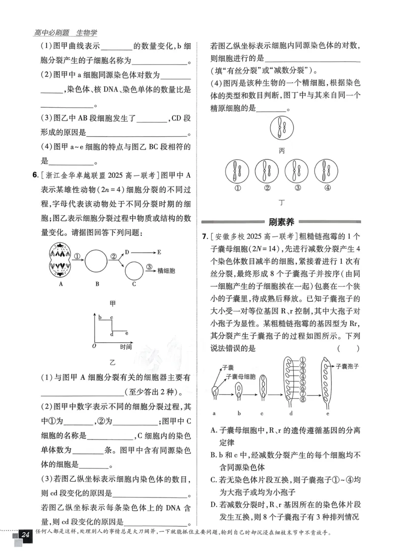 衔接点02根式、分式的化简（解析版）_2024-2025高一（7-7月题库）_2024年7月试卷_0708暑假自学课2024年初升高数学无忧衔接（通用版）