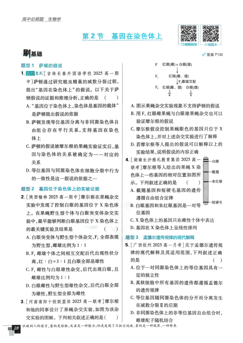 衔接点02根式、分式的化简（解析版）_2024-2025高一（7-7月题库）_2024年7月试卷_0708暑假自学课2024年初升高数学无忧衔接（通用版）