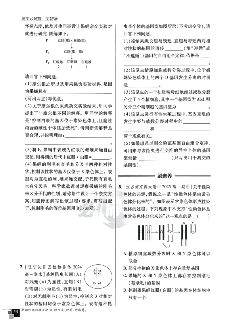 衔接点02根式、分式的化简（解析版）_2024-2025高一（7-7月题库）_2024年7月试卷_0708暑假自学课2024年初升高数学无忧衔接（通用版）