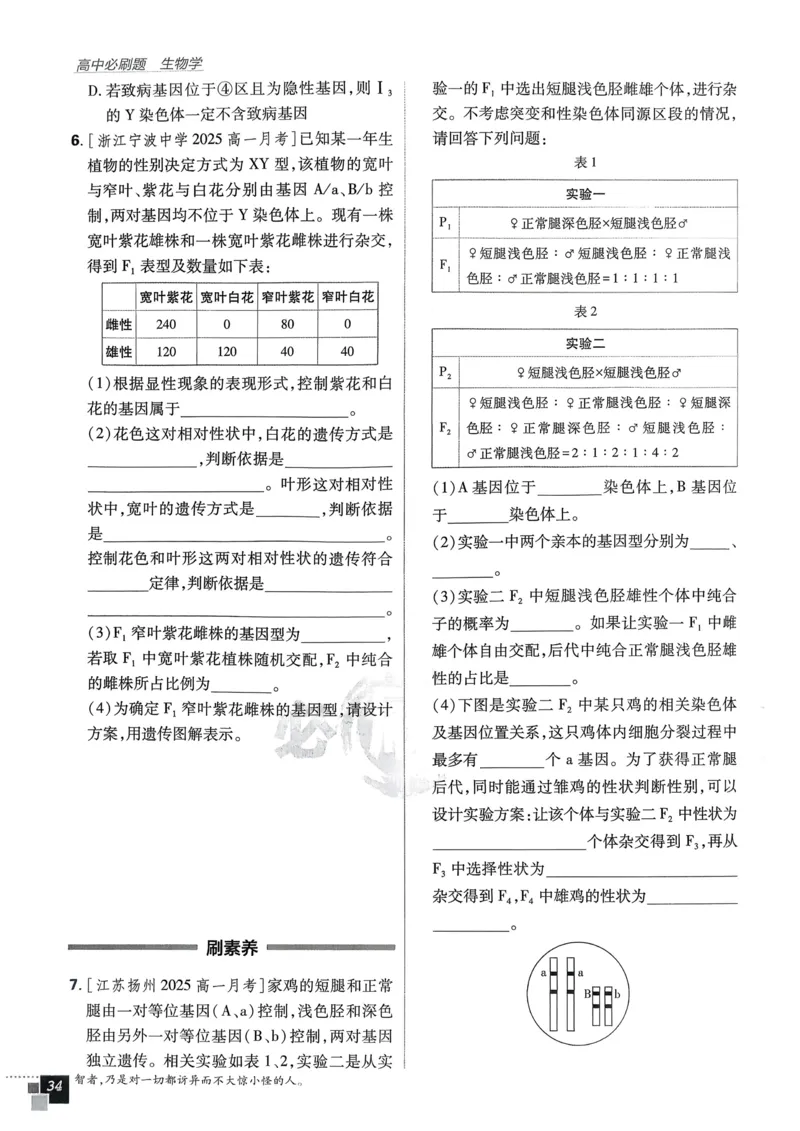 衔接点02根式、分式的化简（解析版）_2024-2025高一（7-7月题库）_2024年7月试卷_0708暑假自学课2024年初升高数学无忧衔接（通用版）