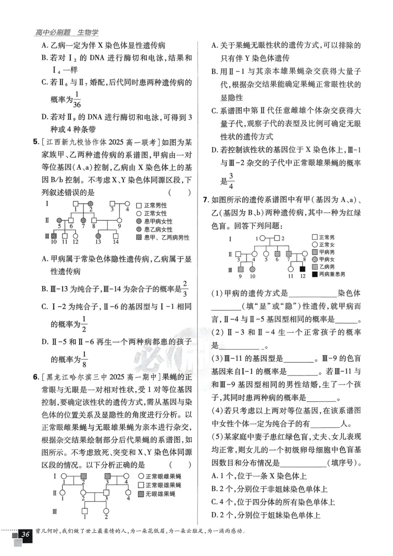 衔接点02根式、分式的化简（解析版）_2024-2025高一（7-7月题库）_2024年7月试卷_0708暑假自学课2024年初升高数学无忧衔接（通用版）
