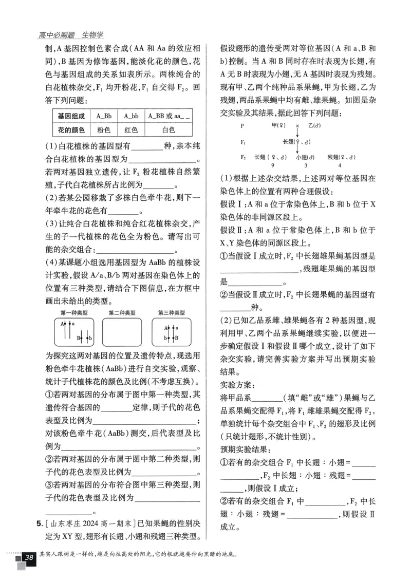 衔接点02根式、分式的化简（解析版）_2024-2025高一（7-7月题库）_2024年7月试卷_0708暑假自学课2024年初升高数学无忧衔接（通用版）