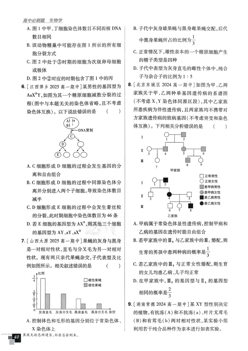 衔接点02根式、分式的化简（解析版）_2024-2025高一（7-7月题库）_2024年7月试卷_0708暑假自学课2024年初升高数学无忧衔接（通用版）