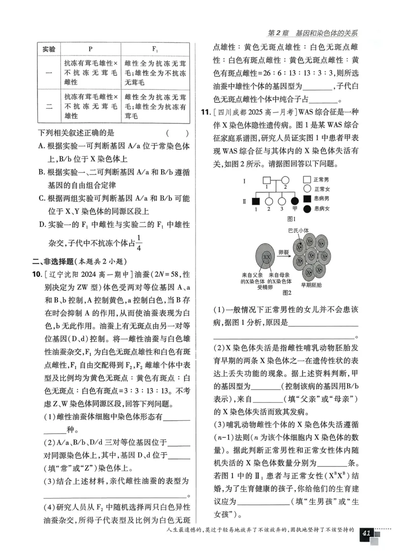衔接点02根式、分式的化简（解析版）_2024-2025高一（7-7月题库）_2024年7月试卷_0708暑假自学课2024年初升高数学无忧衔接（通用版）