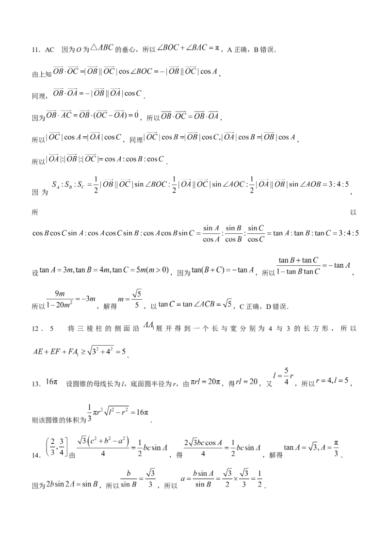 河北省邢台市卓越联盟2024-2025学年高一下学期4月期中考试数学试题（含答案）_2024-2025高一（7-7月题库）_2025年05月试卷_0524河北省邢台市卓越联盟2024-2025学年高一下学期期中考试